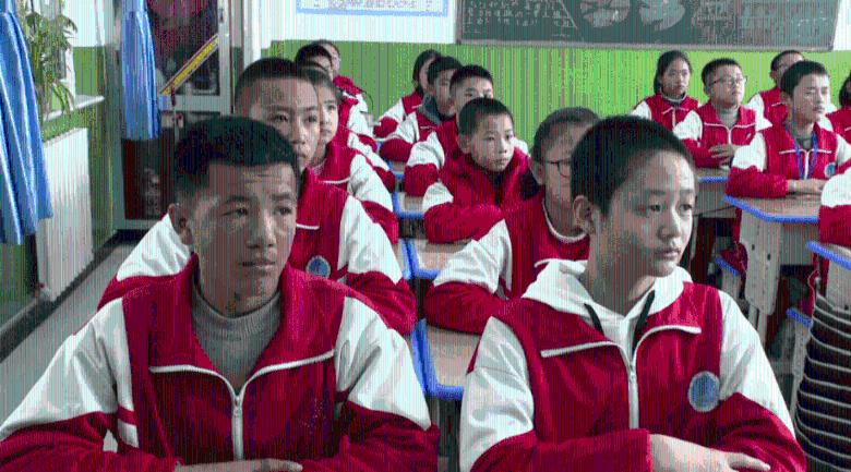 竞技宝如何